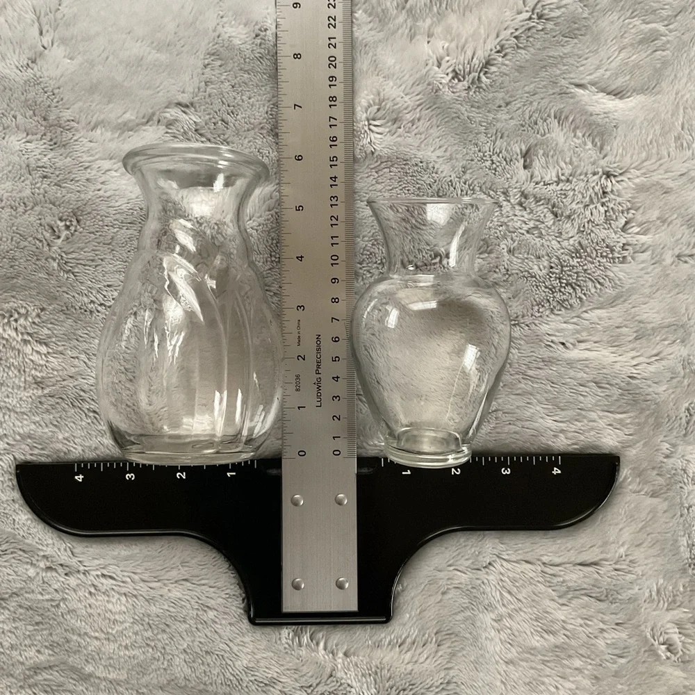Clear Glass Bulb Forcing Vases Set of Two